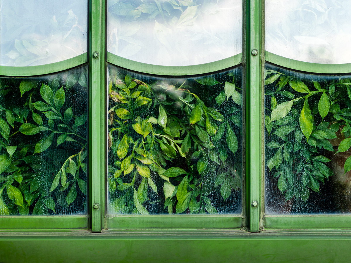 Familienbilder2017_2558